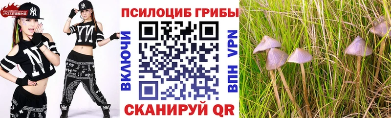 Галлюциногенные грибы Psilocybine cubensis  цены   Чулым 